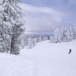 Skiing, by wka, flickr.com