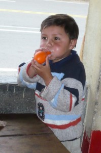 Ecuador (31)