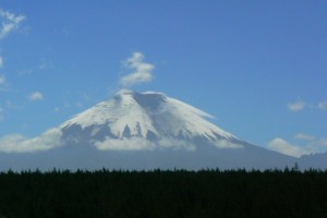 Ecuador (518)
