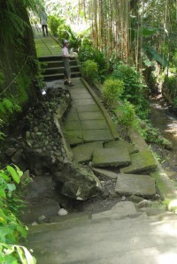 DSC01241