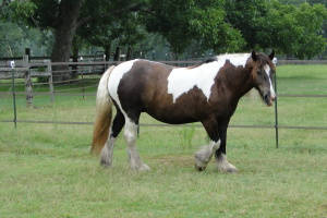 DSC00071